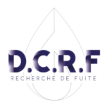 Avis logiciel iREN - DCRF